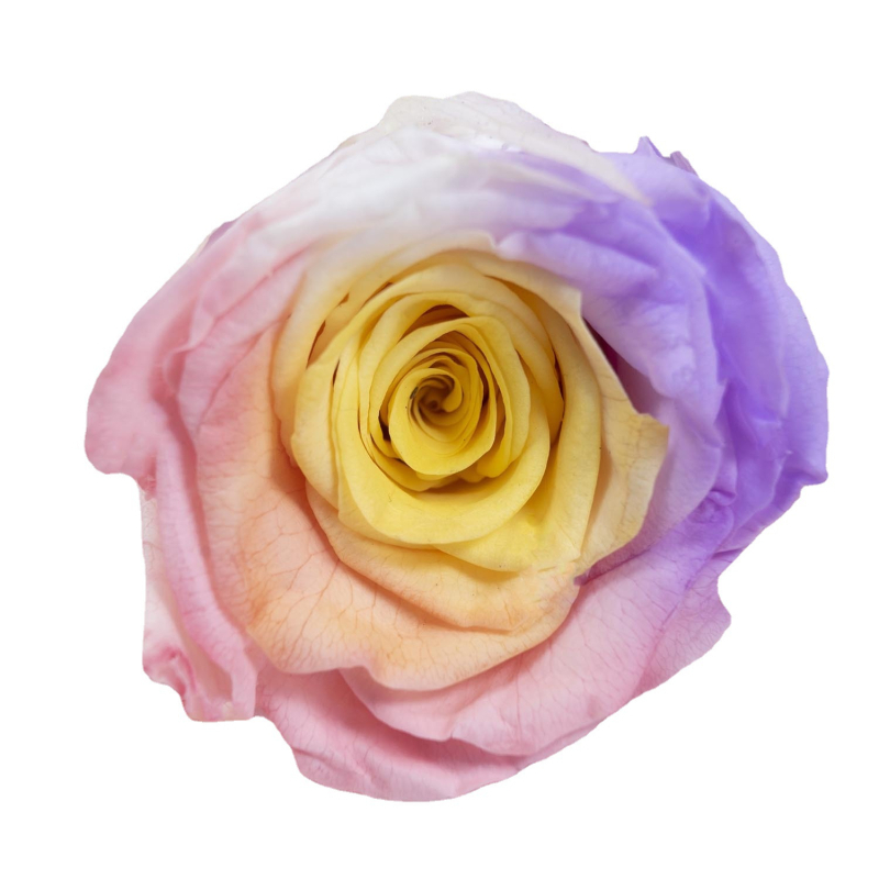 Örök virágból készült rózsa fej — anyag: örök virág; fajta: rózsa; márka: Queen of naxi; folyamat: 21892532504