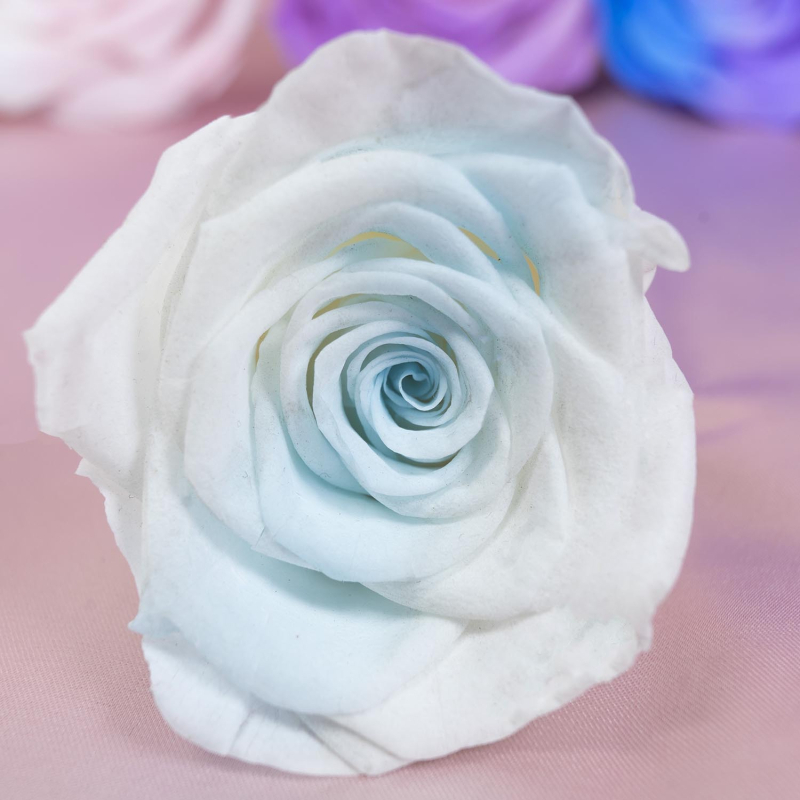 Örök virágból készült rózsa fej — anyag: örök virág; fajta: rózsa; márka: Queen of naxi; folyamat: 21892532504