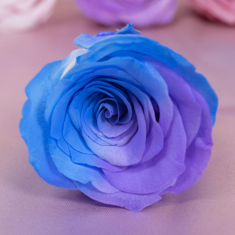 Örök virágból készült rózsa fej — anyag: örök virág; fajta: rózsa; márka: Queen of naxi; folyamat: 21892532504