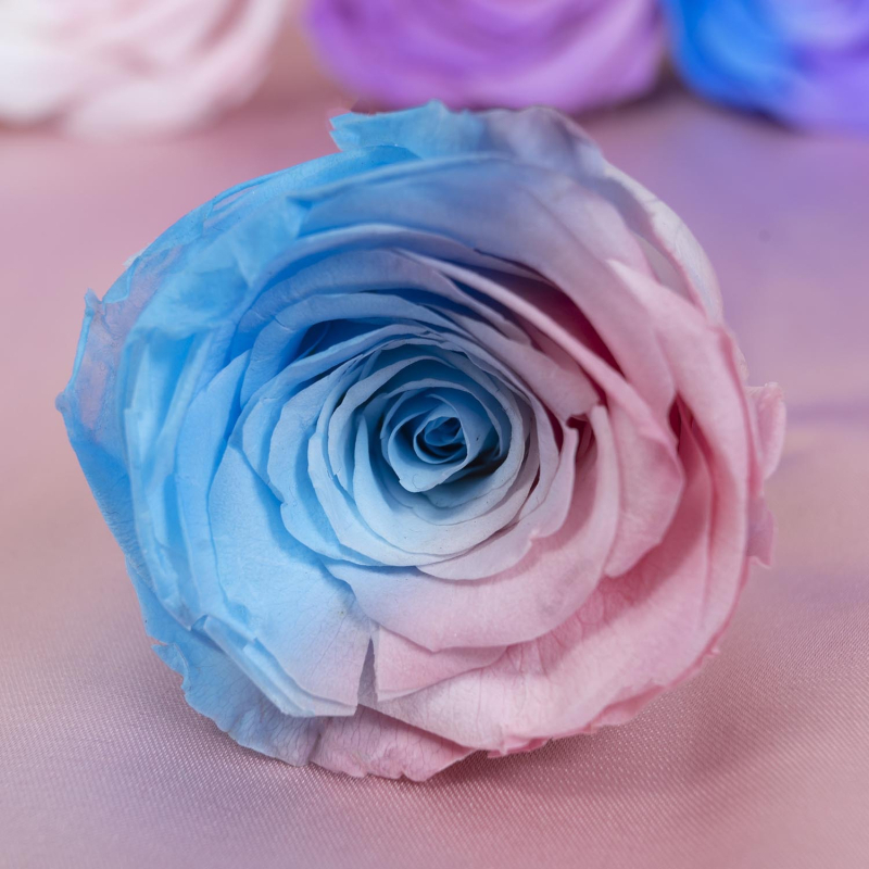 Örök virágból készült rózsa fej — anyag: örök virág; fajta: rózsa; márka: Queen of naxi; folyamat: 21892532504