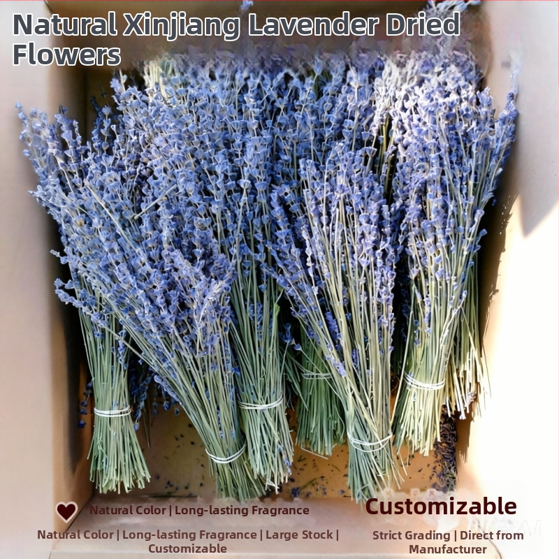 Levanduľový buket zo sušených kvetov, prírodný, bez farbenia, sušené kvety s vetvičkami, vhodné na vrecúška a aromoterapiu, balené v OPP vrecku