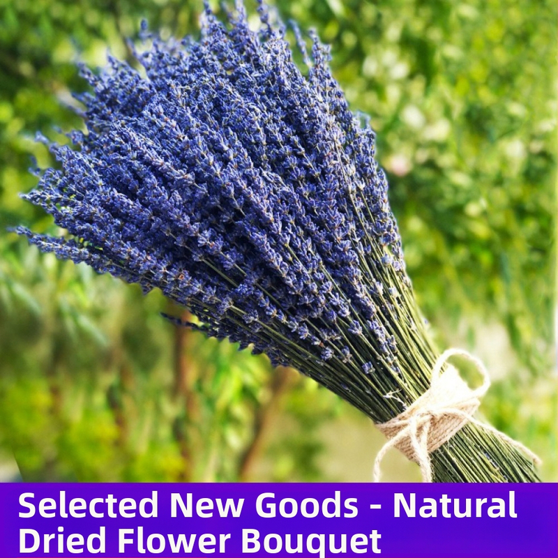 Levanduľový buket zo sušených kvetov, prírodný, bez farbenia, sušené kvety s vetvičkami, vhodné na vrecúška a aromoterapiu, balené v OPP vrecku