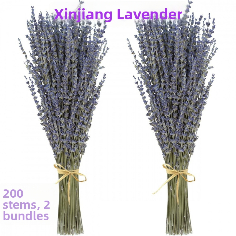 Levanduľový buket zo sušených kvetov, prírodný, bez farbenia, sušené kvety s vetvičkami, vhodné na vrecúška a aromoterapiu, balené v OPP vrecku