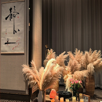Kuivatatud pampasheinapuok kodu ja pulmade dekoratsioonideks; pakendatud kotis või karbis; kaubamärk Diancaofang