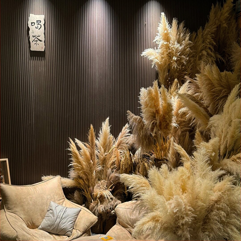 Kuivatatud pampasheinapuok kodu ja pulmade dekoratsioonideks; pakendatud kotis või karbis; kaubamärk Diancaofang
