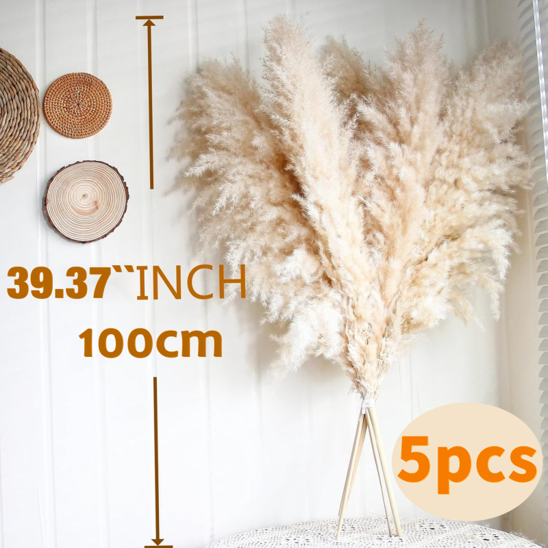 Kuivatatud pampasheinapuok kodu ja pulmade dekoratsioonideks; pakendatud kotis või karbis; kaubamärk Diancaofang