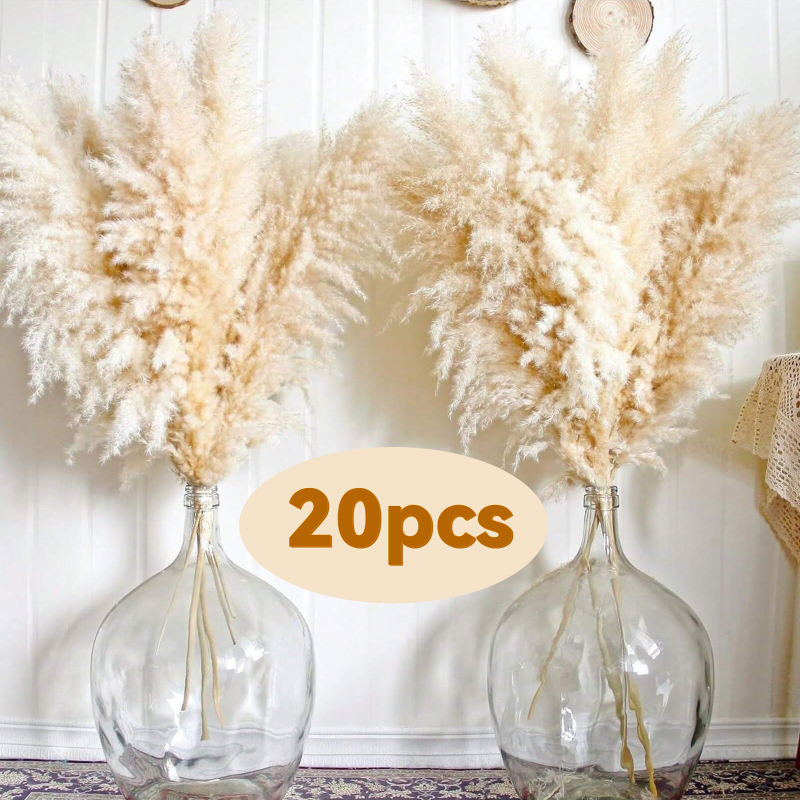 Kuivatatud pampasheinapuok kodu ja pulmade dekoratsioonideks; pakendatud kotis või karbis; kaubamärk Diancaofang