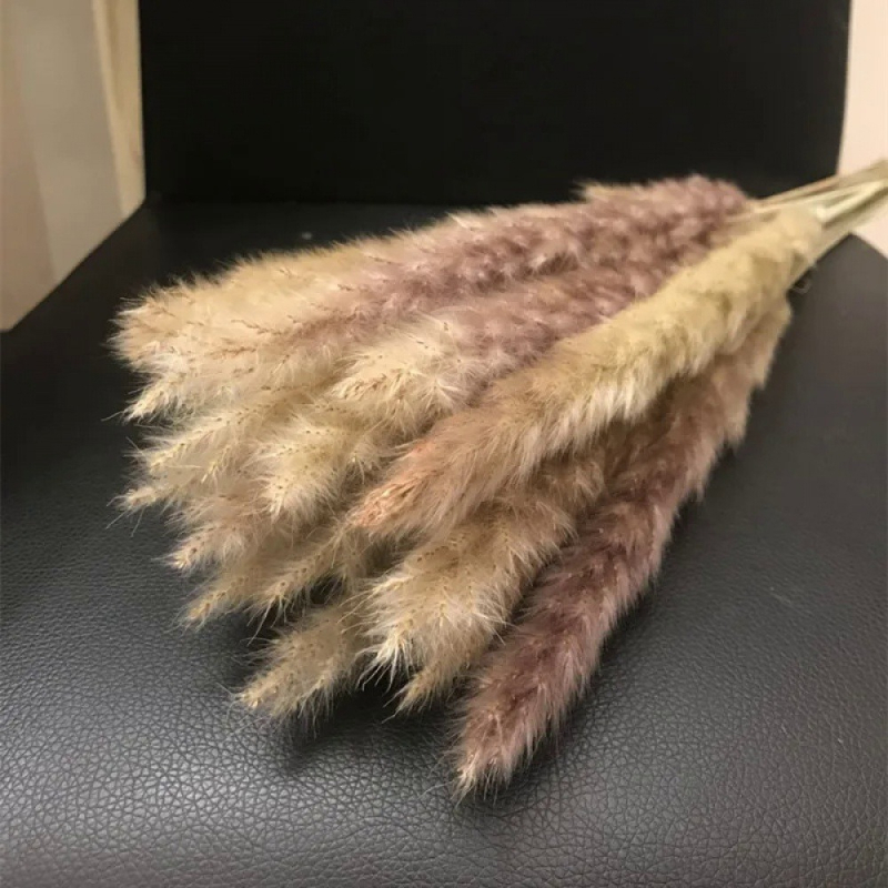 Kuivatatud pampasheinapuok kodu ja pulmade dekoratsioonideks; pakendatud kotis või karbis; kaubamärk Diancaofang