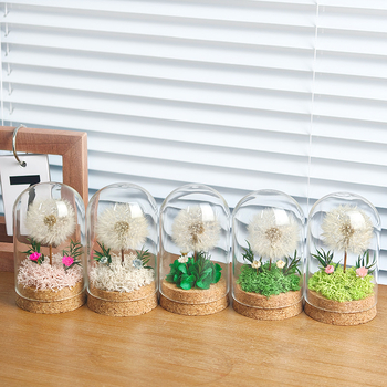 Данделион запазено цвете под стъклен купол - готов за подарък, сувенир