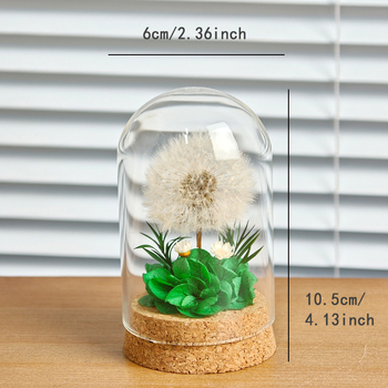 Данделион запазено цвете под стъклен купол - готов за подарък, сувенир