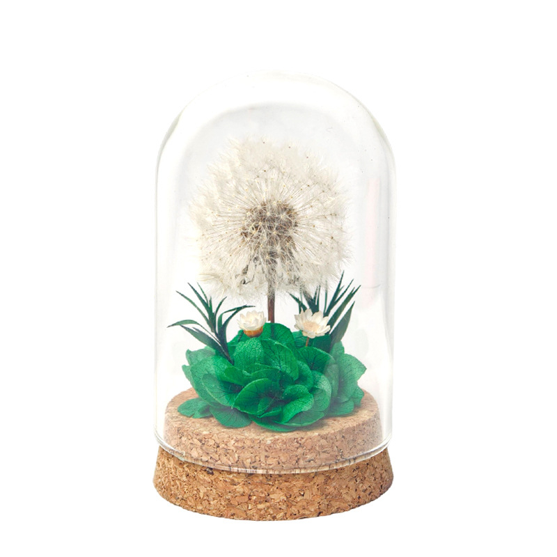 Данделион запазено цвете под стъклен купол - готов за подарък, сувенир