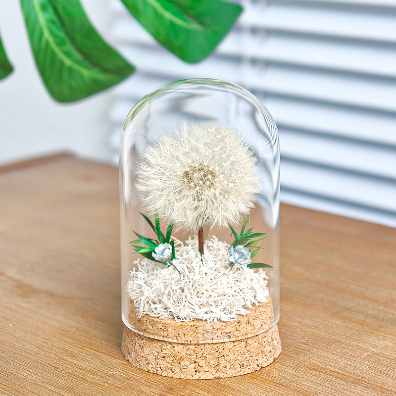 Данделион запазено цвете под стъклен купол - готов за подарък, сувенир