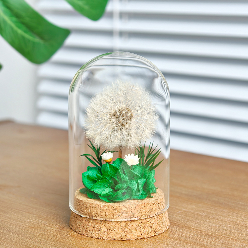 Данделион запазено цвете под стъклен купол - готов за подарък, сувенир