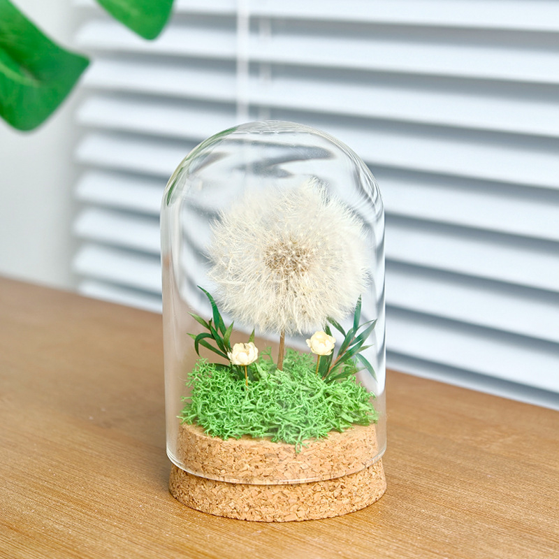 Данделион запазено цвете под стъклен купол - готов за подарък, сувенир