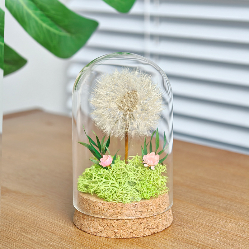 Данделион запазено цвете под стъклен купол - готов за подарък, сувенир