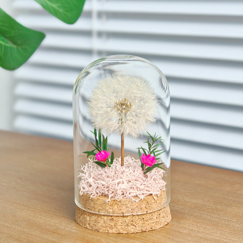 Данделион запазено цвете под стъклен купол - готов за подарък, сувенир