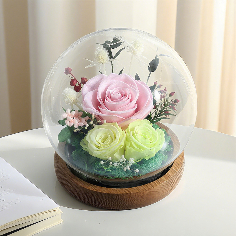Trandafir uscat într-o cutie cadou cu cupole de sticlă sferice