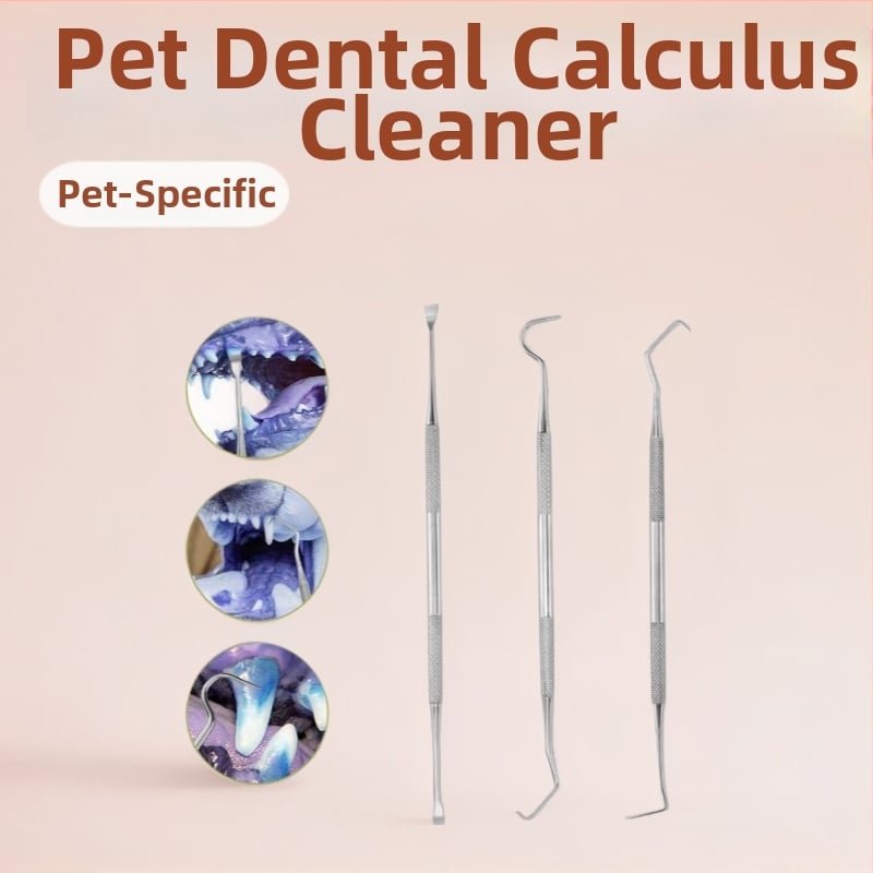 Nerūdijančio plieno dantų įrankių rinkinys naminiams gyvūnėliams — burnos sondos ir akmenų valymo įrankis, 55 g