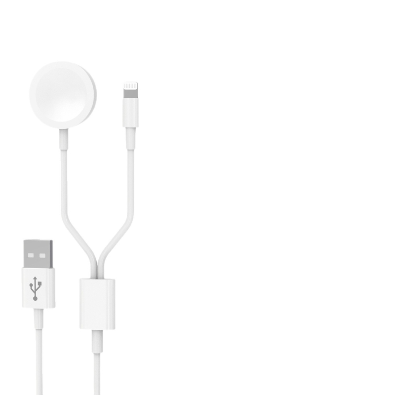Brzo zidno punjenje za iPhone 14 i Apple Watch – QC2.0, 30W, 1 izlaz, uključuje 2 data kabela