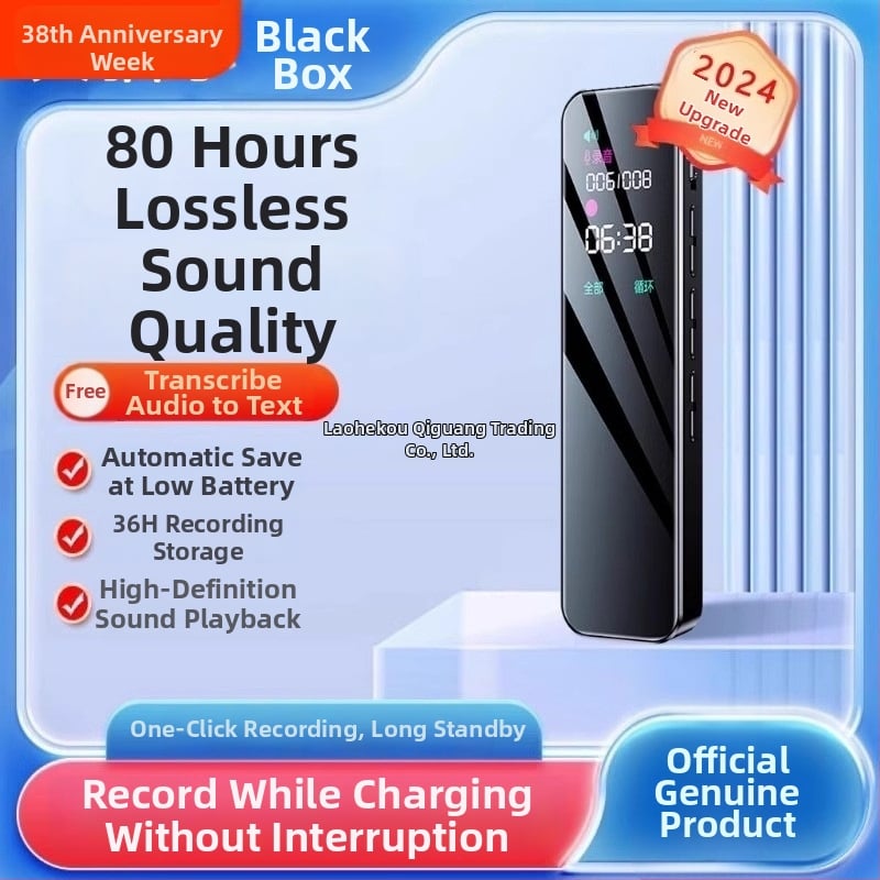 Prenosný diktafón s potlačením šumu, model 01, veľká kapacita, dlhá pohotovostná doba, profesionálny konferenčný diktafón