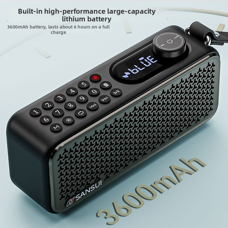 Landscape F60 portatīvā Bluetooth radio ar USB interfeisu, digitālo displeju, TF karte, ierakstu, 8W
