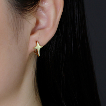 Naušnice sa zvjezdastim oblikom od srebra 925, polirane, za žene