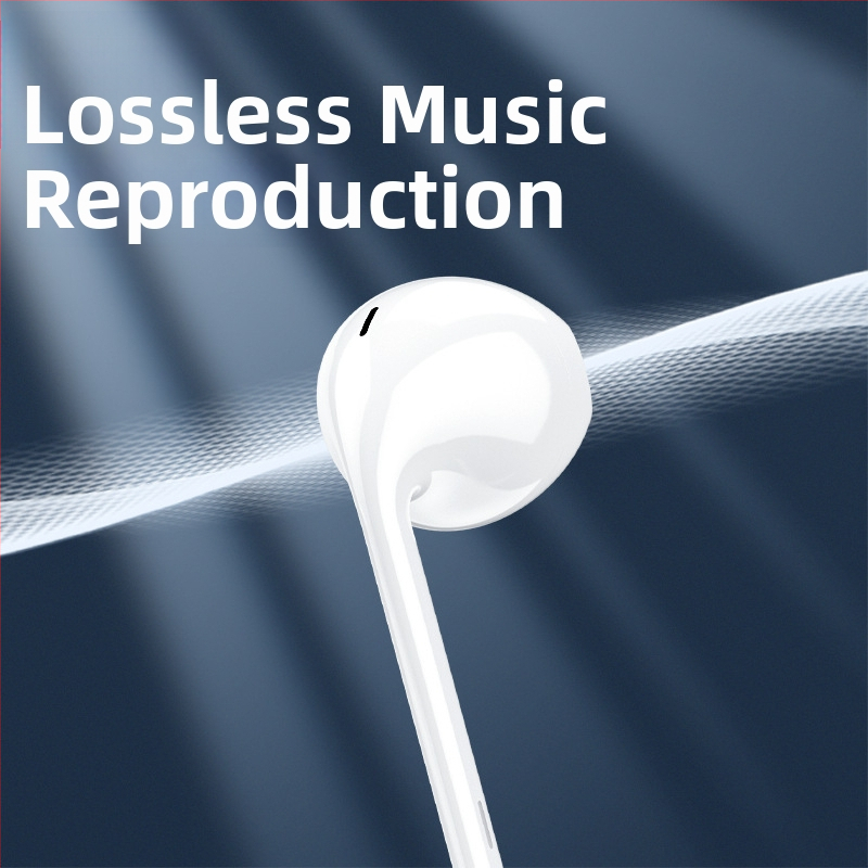 R01 ausinės su Type-C laidiniu valdikliu, jautrumas 120 dB, kabelio ilgis 100 cm