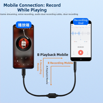 Digital Fox zvukový záznamový kábel, dvojhlavý, 3,5 mm samčie–samčie a USB Type-C obojsmerný konektor