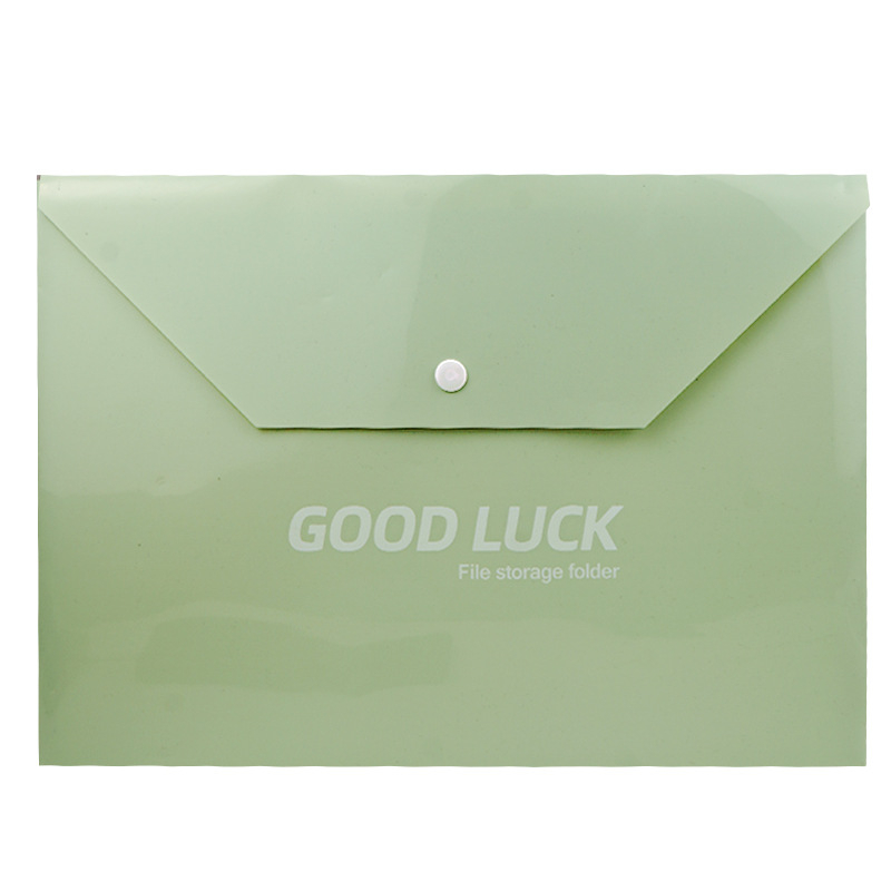 Snaps dokumentu kabatiņa A4, plastmasa, biezums 0,5 cm, 1 lappuses ietilpība, pielāgošana pieejama, ar drukātu logotipu