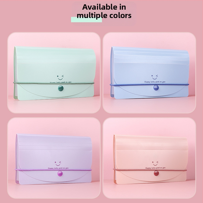 A6 PP dokumentu mapīte ar 13 nodalījumiem, akordeona stila, ūdensizturīga PVN faktūru klasifikācija, Smiley Face sērija