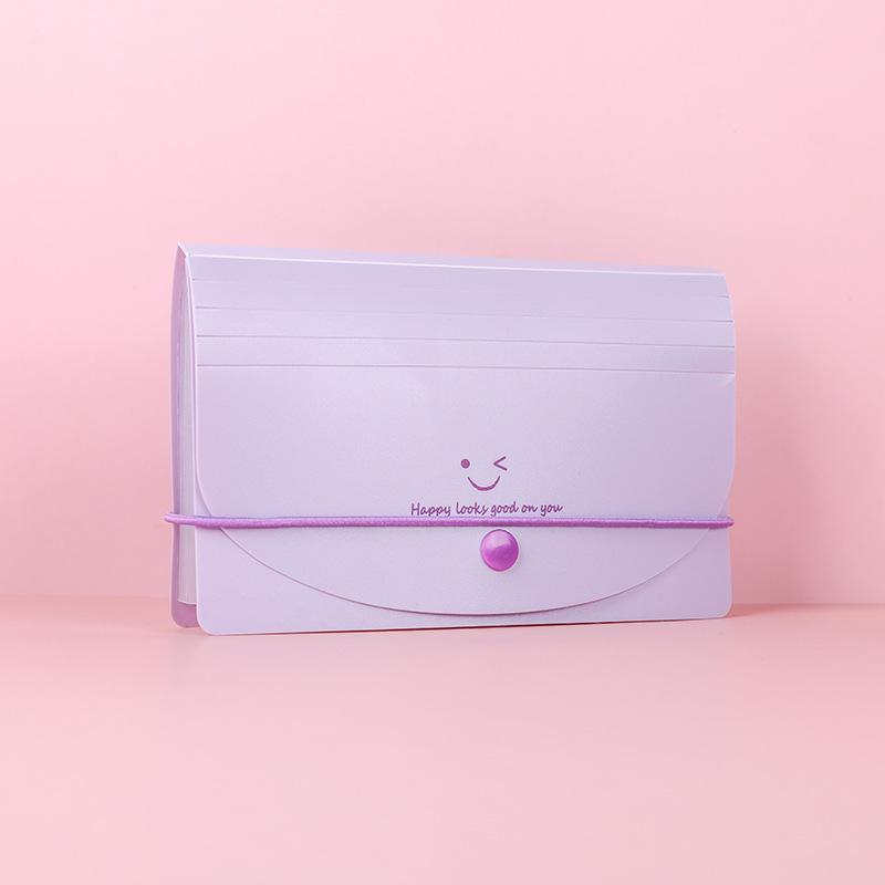 A6 PP dokumentu mapīte ar 13 nodalījumiem, akordeona stila, ūdensizturīga PVN faktūru klasifikācija, Smiley Face sērija