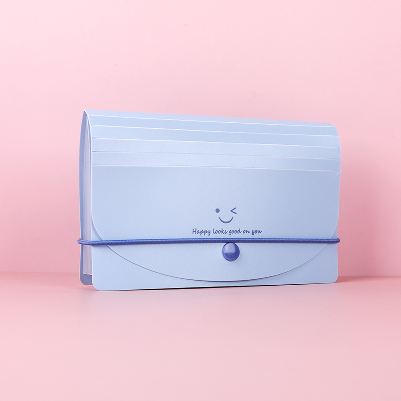 A6 PP dokumentu mapīte ar 13 nodalījumiem, akordeona stila, ūdensizturīga PVN faktūru klasifikācija, Smiley Face sērija