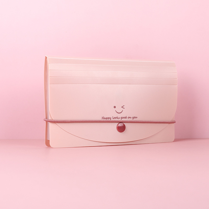 A6 PP dokumentu mapīte ar 13 nodalījumiem, akordeona stila, ūdensizturīga PVN faktūru klasifikācija, Smiley Face sērija