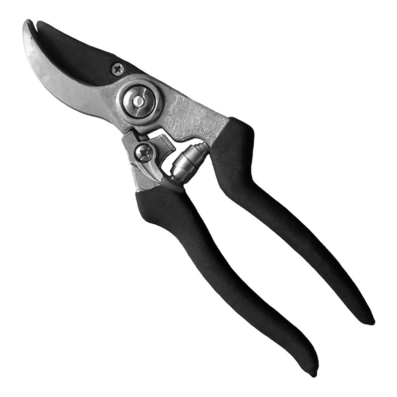 Škarice za podrezivanje voćaka – nehrđajući čelik, drška od spužve, izdržljive vrtne škare