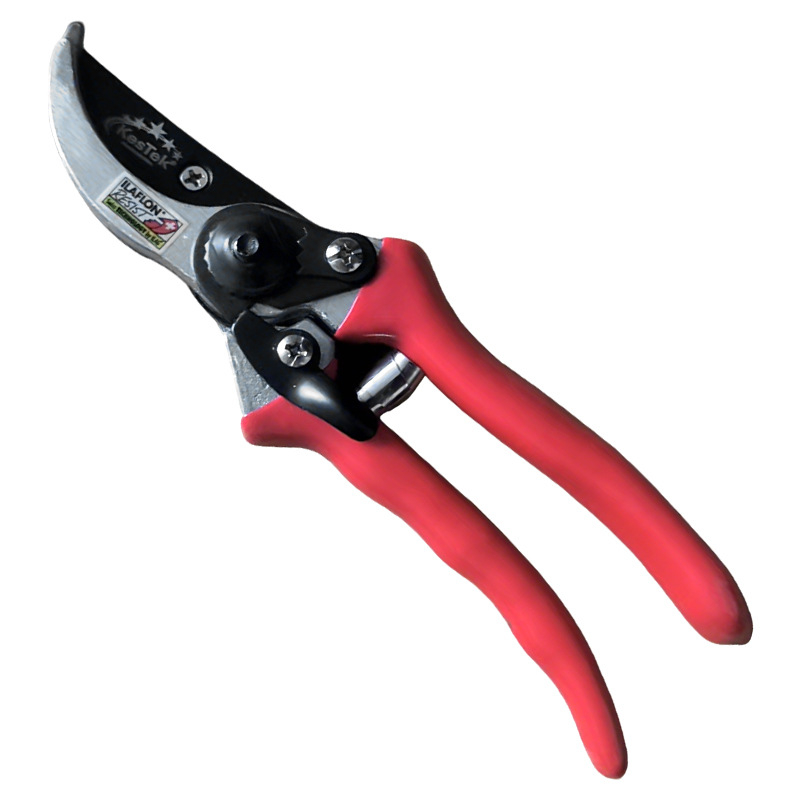 Škarice za podrezivanje voćaka – nehrđajući čelik, drška od spužve, izdržljive vrtne škare