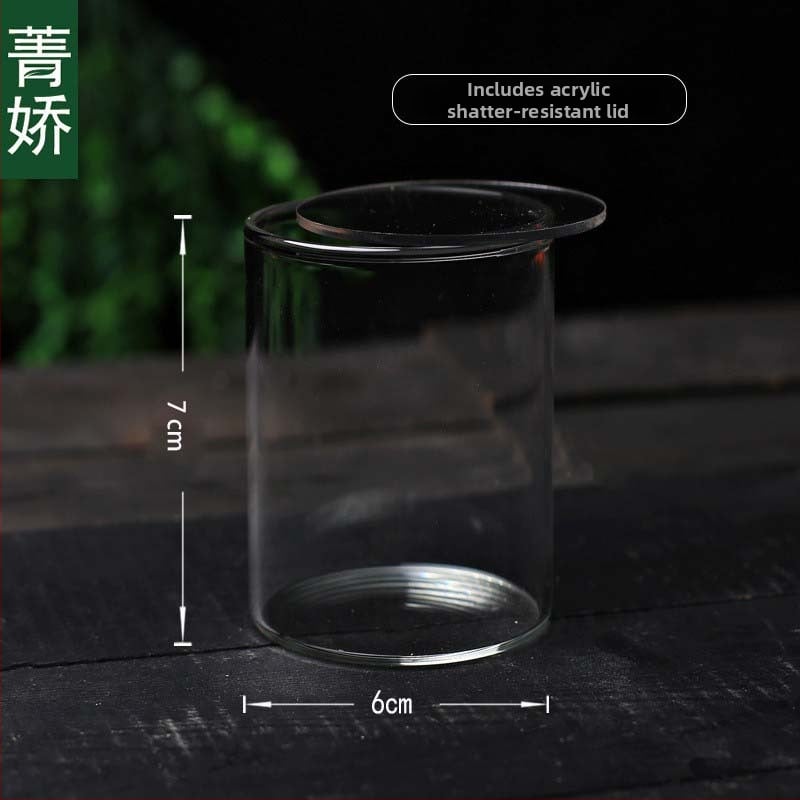 Mini stačiakampis stiklo buteliukas su akrilo dangteliu samanos mikro kraštovaizdžiui — borosilikato stiklas, Jing Jiao, kartoninė pakuotė, stalinis demonstravimas