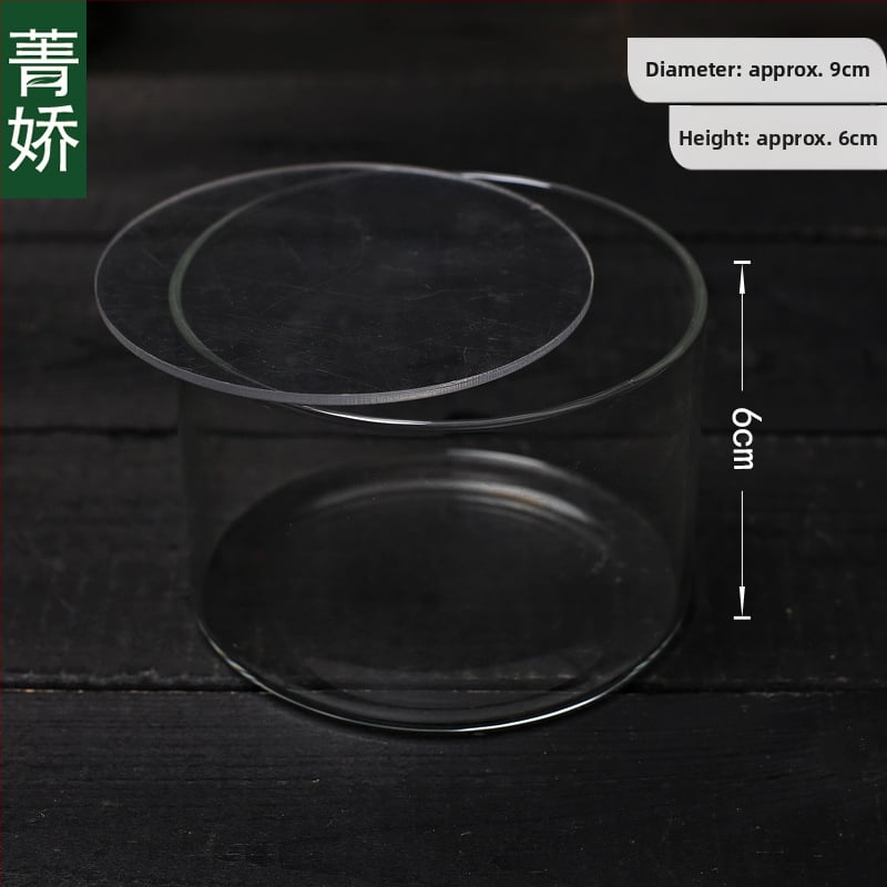 Mini stačiakampis stiklo buteliukas su akrilo dangteliu samanos mikro kraštovaizdžiui — borosilikato stiklas, Jing Jiao, kartoninė pakuotė, stalinis demonstravimas