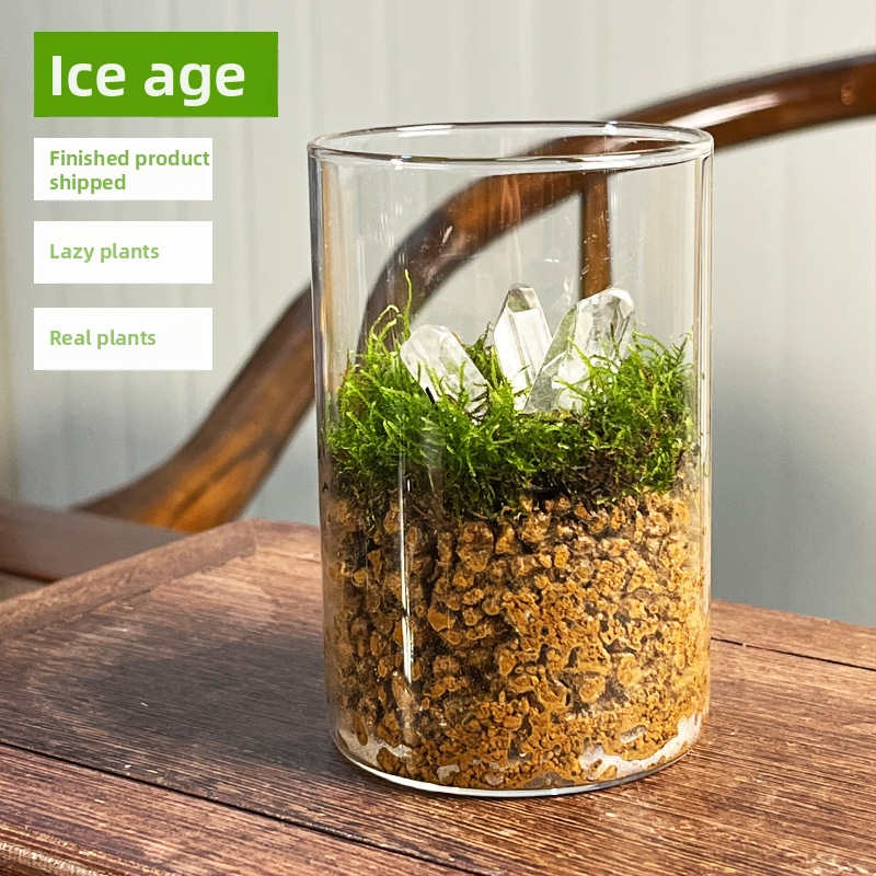 Peisaj mini cu mușchi într-o sticlă cu ghiveci, formă de tort, ecologic, lucrat manual