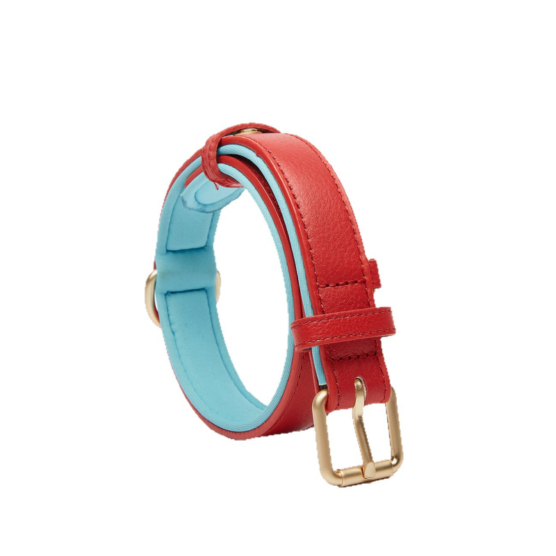 Ovratnik za psa - Yusheng - Koža prvog sloja goveđe kože - Dvostruka kopča - Ležerni stil