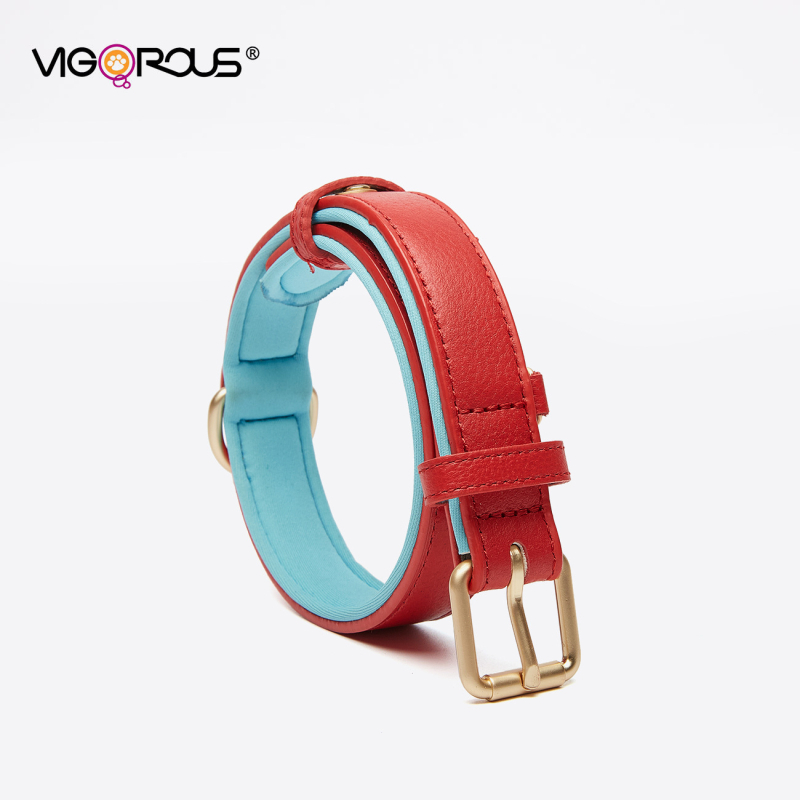 Ovratnik za psa - Yusheng - Koža prvog sloja goveđe kože - Dvostruka kopča - Ležerni stil