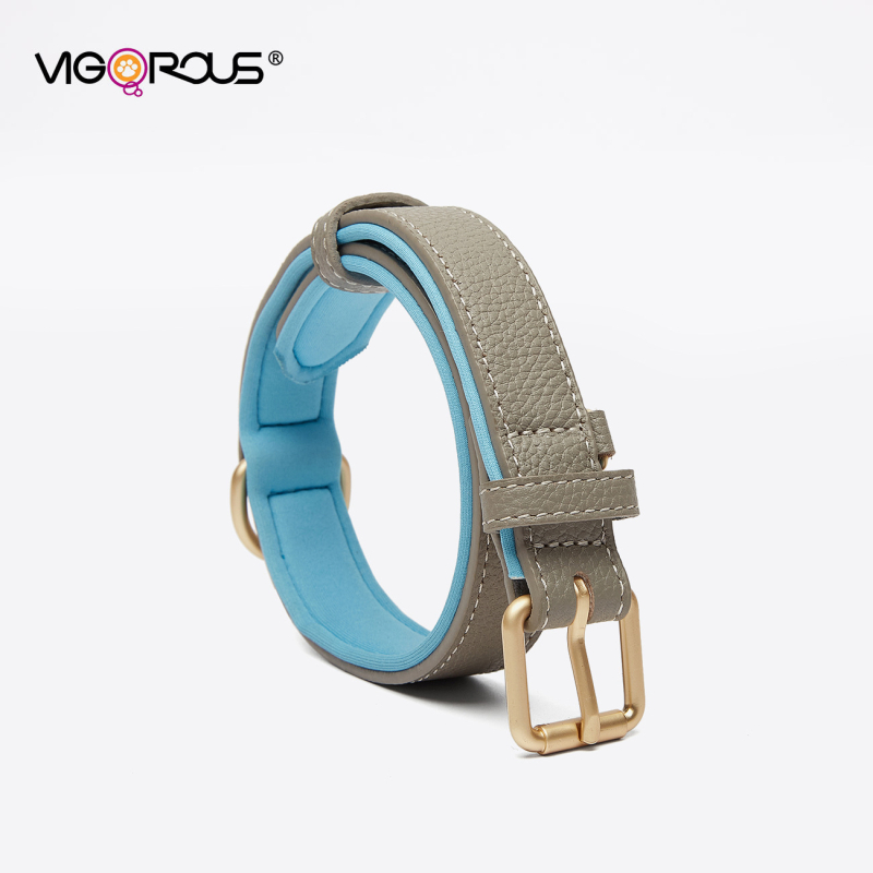 Ovratnik za psa - Yusheng - Koža prvog sloja goveđe kože - Dvostruka kopča - Ležerni stil