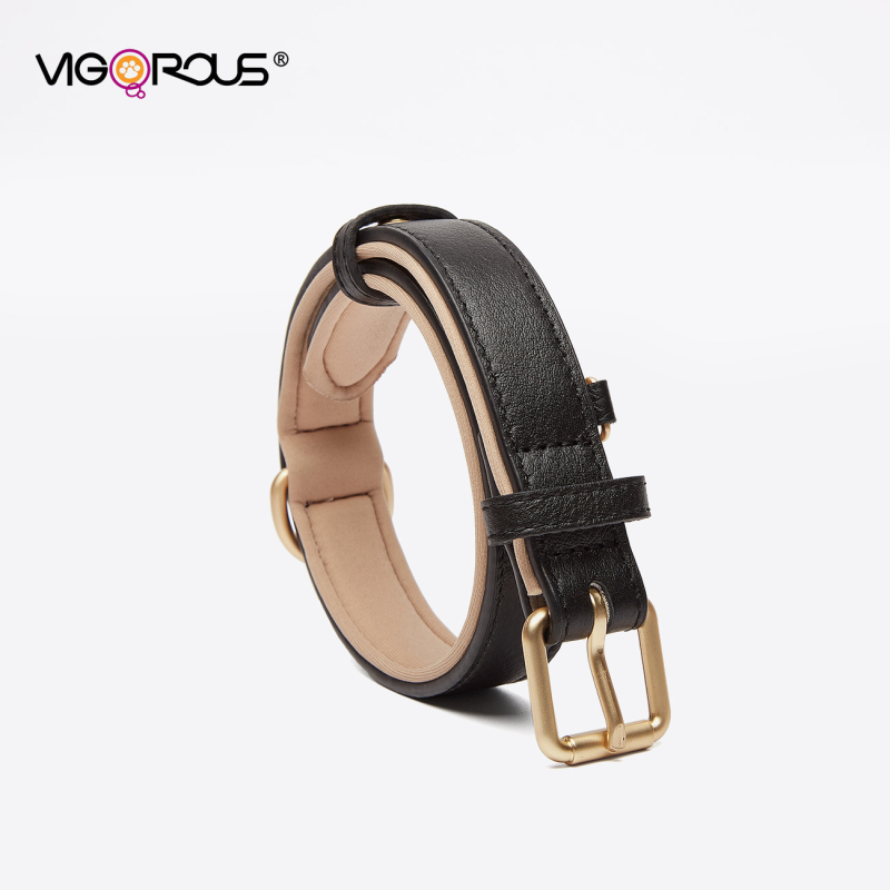 Ovratnik za psa - Yusheng - Koža prvog sloja goveđe kože - Dvostruka kopča - Ležerni stil