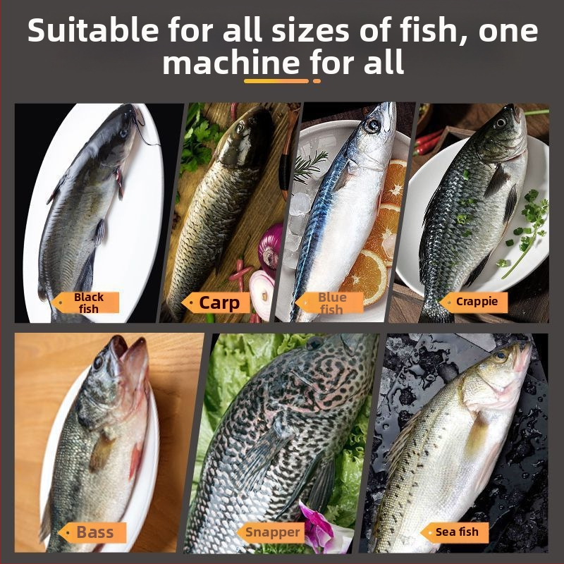 Elektrinis žuvų žvynų šalinimo įrenginys — visiškai automatinis, profesionalus, komercinei žuvų apdirbai, 304 nerūdijančio plieno