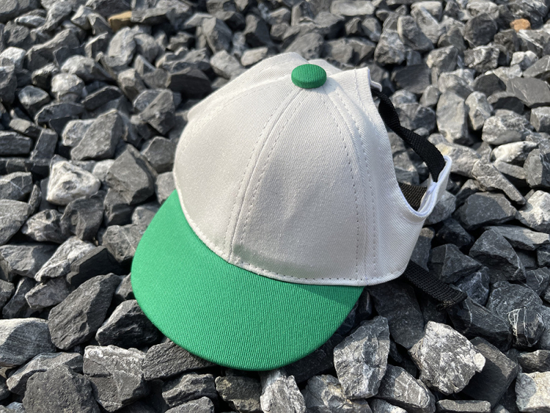 Šešir baseball za kućne ljubimce, INS stil, pamuk, prazan uzorak, twill, šiveno