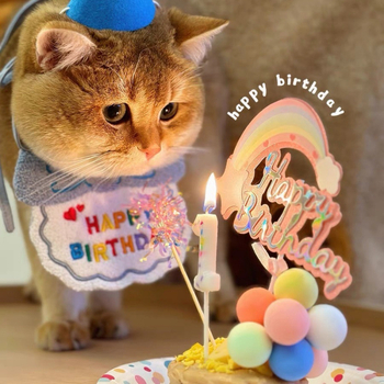 Set de decor pentru ziua de naștere a animalelor de companie (pisici și câini), cu decorațiuni pentru tort, recuzită foto și bavete pentru saliva | Marca: Exclusive Item | Țara de origine: China continentală | Stil: Modern Minimalist | Sezon: Primăvară și 