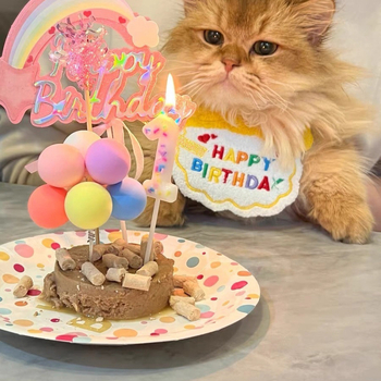 Set de decor pentru ziua de naștere a animalelor de companie (pisici și câini), cu decorațiuni pentru tort, recuzită foto și bavete pentru saliva | Marca: Exclusive Item | Țara de origine: China continentală | Stil: Modern Minimalist | Sezon: Primăvară și 