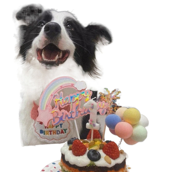 Set de decor pentru ziua de naștere a animalelor de companie (pisici și câini), cu decorațiuni pentru tort, recuzită foto și bavete pentru saliva | Marca: Exclusive Item | Țara de origine: China continentală | Stil: Modern Minimalist | Sezon: Primăvară și 