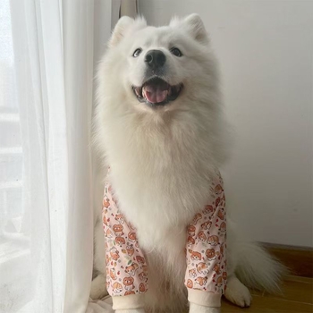 Протектори за лакти на кучета, подходящи за средни и големи породи, мульт стил, полиестер, облекло за домашни любимци (Протектори за лакти, Мульт стил, Полиестер, Облекло за домашни любимци, За средни и големи породи)