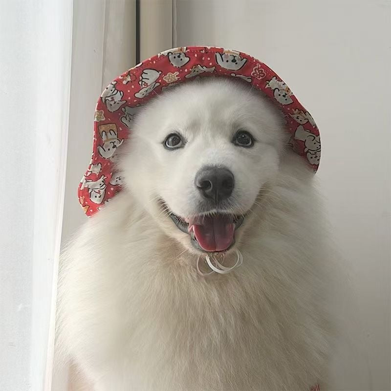 Протектори за лакти на кучета, подходящи за средни и големи породи, мульт стил, полиестер, облекло за домашни любимци (Протектори за лакти, Мульт стил, Полиестер, Облекло за домашни любимци, За средни и големи породи)