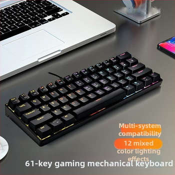 61 tipkovnica s žičnom konekcijom, mehanička, zelena osovina, miješano RGB osvjetljenje, vodootporna